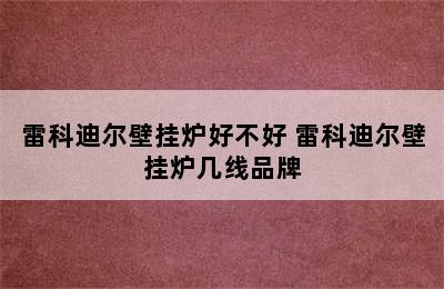 雷科迪尔壁挂炉好不好 雷科迪尔壁挂炉几线品牌